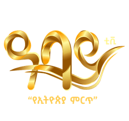 abbay tv
